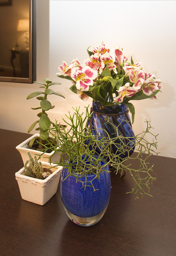 Use flores naturais e traga grandes mudanças na decoração da casa |  marisamurta